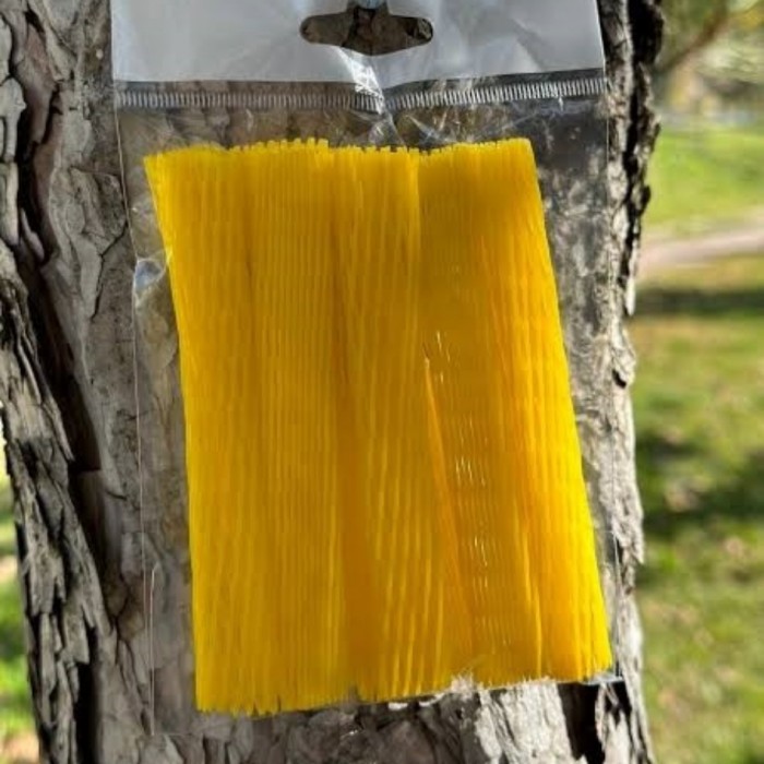 File Çeşitleri